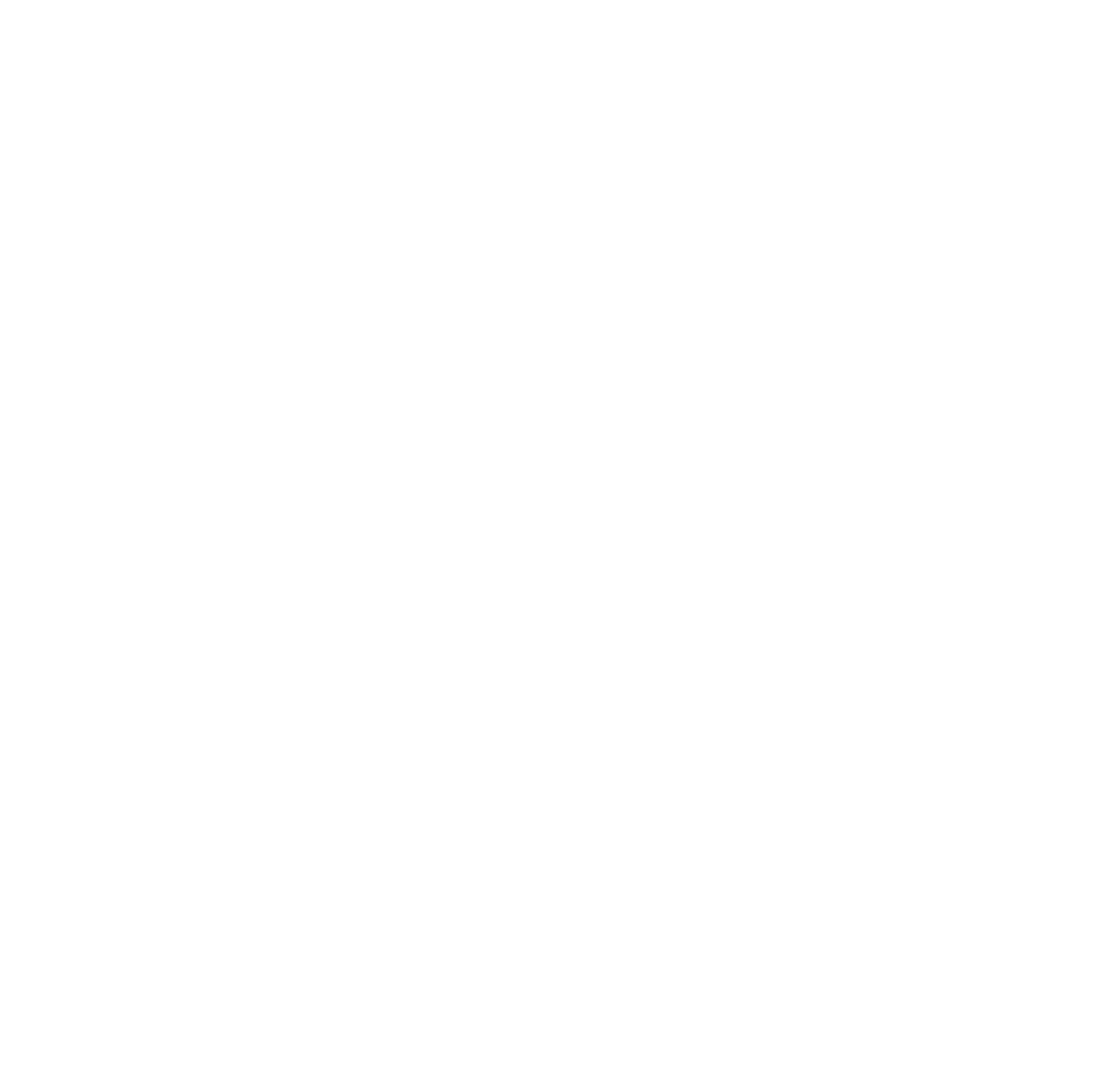 رهنما